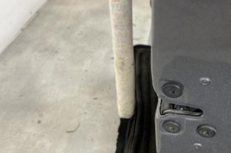 Porte avant droit RENAULT CLIO 4