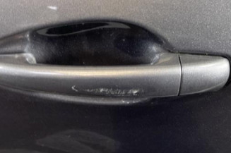 Porte arriere gauche PEUGEOT 2008 1