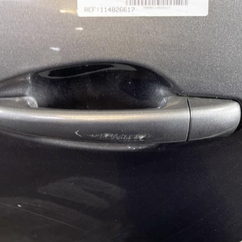 Porte arriere gauche PEUGEOT 2008 1 Photo n°2