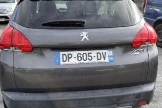 Porte arriere gauche PEUGEOT 2008 1