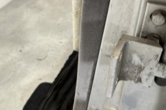 Porte arriere gauche PEUGEOT 406