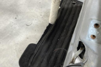 Porte avant gauche PEUGEOT 406