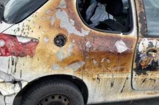 Cremaillere assistee PEUGEOT 206+