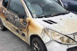 Cremaillere assistee PEUGEOT 206+