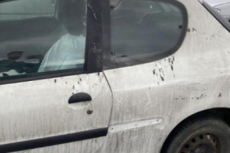 Cremaillere assistee PEUGEOT 206+