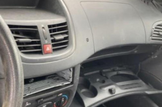 Cremaillere assistee PEUGEOT 206+