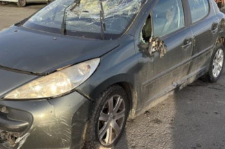 Cremaillere assistee PEUGEOT 207