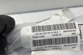 Air bag rideau gauche PEUGEOT 208 1