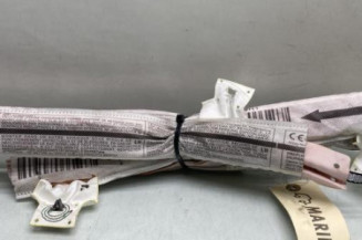 Air bag rideau gauche CITROEN C3 3 SOCIETE Photo n°1