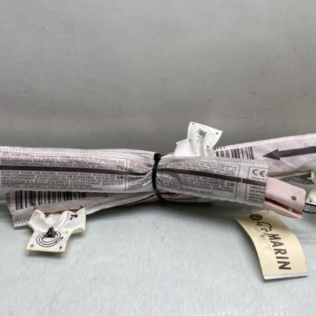 Air bag rideau gauche CITROEN C3 3 SOCIETE Photo n°1