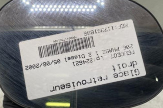 Glace retroviseur droit PEUGEOT 206 Photo n°1