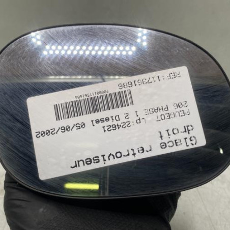 Glace retroviseur droit PEUGEOT 206 Photo n°1