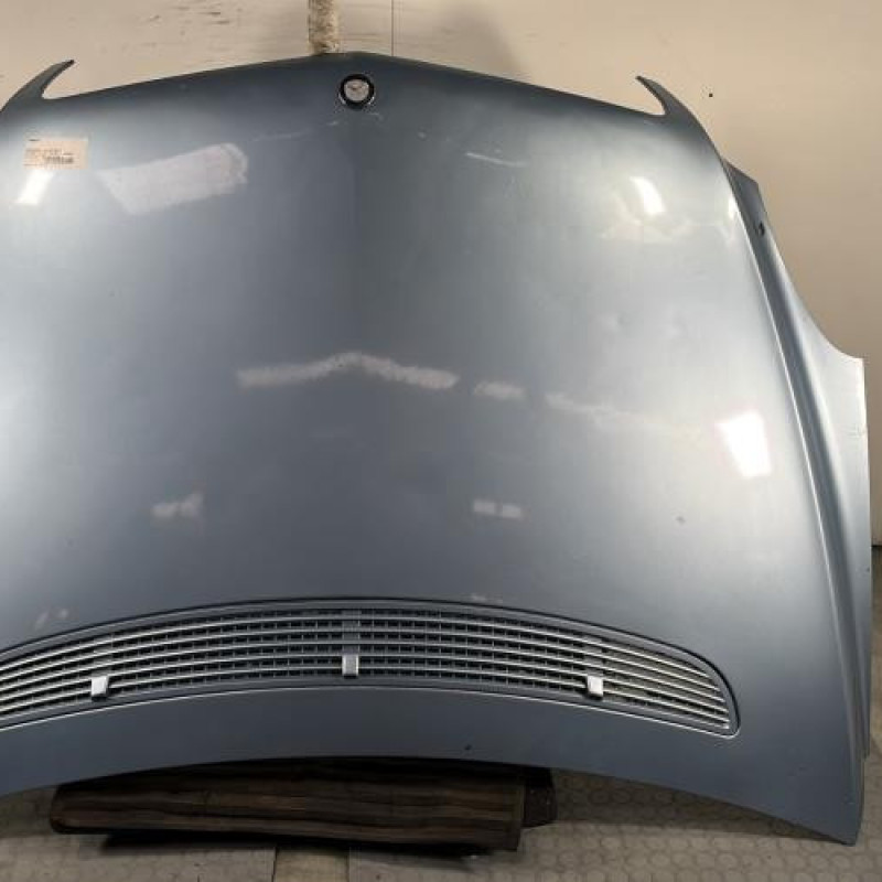 Capot MERCEDES CLASSE R 251 Photo n°1