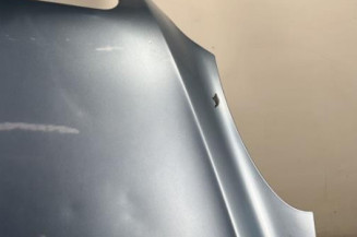 Capot MERCEDES CLASSE R 251