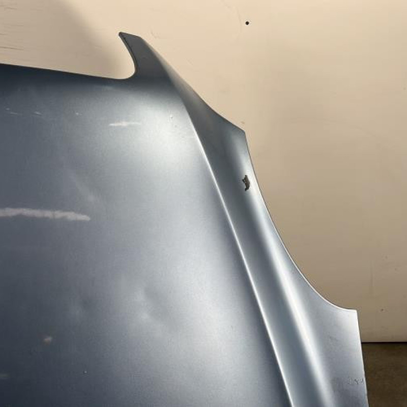 Capot MERCEDES CLASSE R 251 Photo n°4