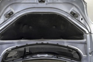 Capot MERCEDES CLASSE R 251