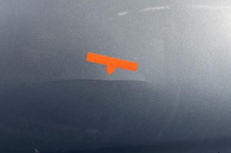 Porte avant droit MERCEDES CLASSE R 251