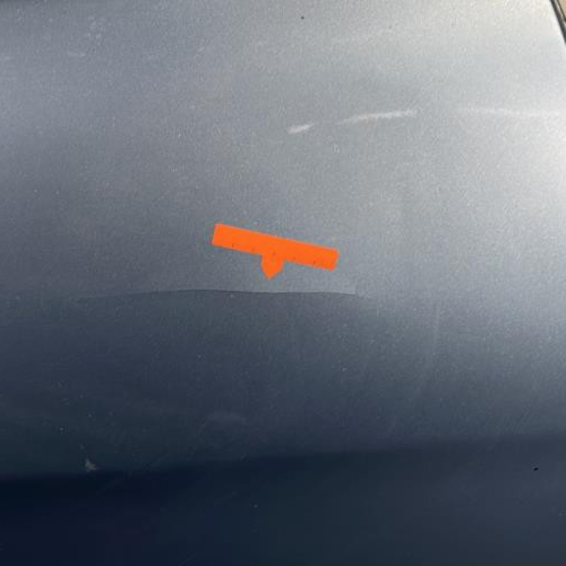 Porte avant droit MERCEDES CLASSE R 251 Photo n°2