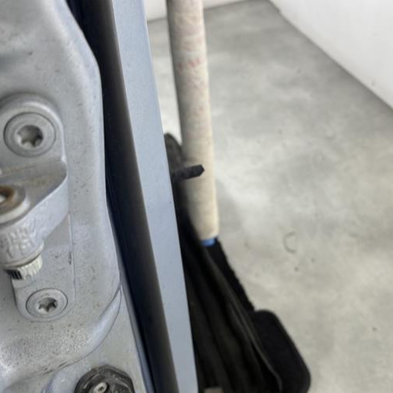 Porte avant droit MERCEDES CLASSE R 251 Photo n°3