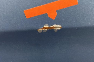 Porte avant gauche MERCEDES CLASSE R 251