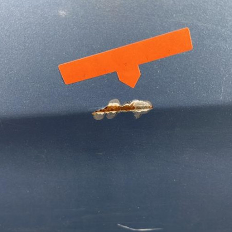 Porte avant gauche MERCEDES CLASSE R 251