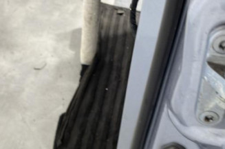 Porte avant gauche MERCEDES CLASSE R 251