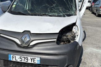 Mastervac RENAULT KANGOO 2 Photo n°1