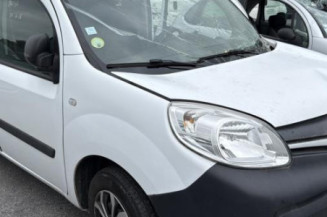 Mastervac RENAULT KANGOO 2
