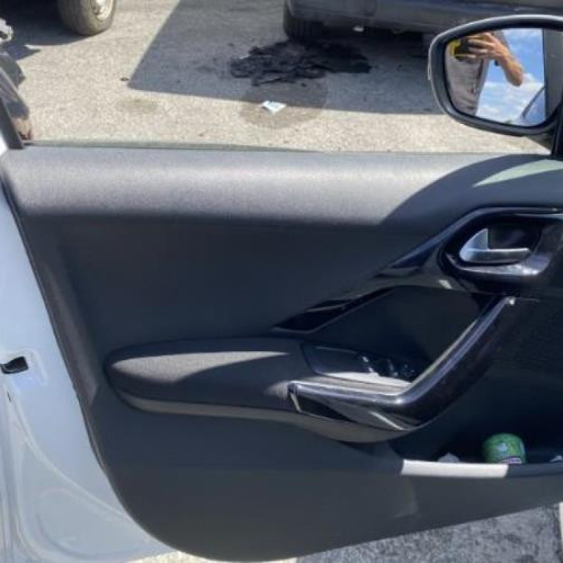 Porte arriere droit PEUGEOT 208 1 Photo n°10