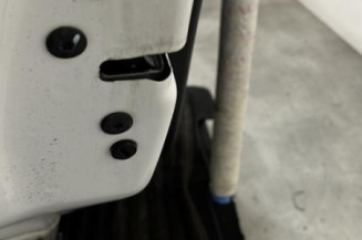 Porte arriere gauche PEUGEOT 208 1