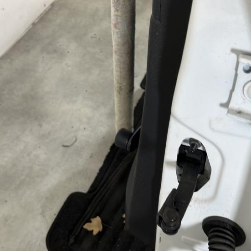 Porte arriere gauche PEUGEOT 208 1 Photo n°4