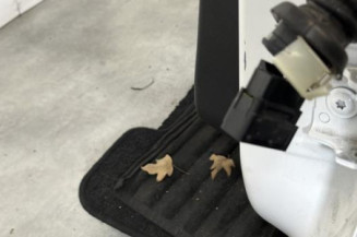 Porte arriere gauche PEUGEOT 208 1