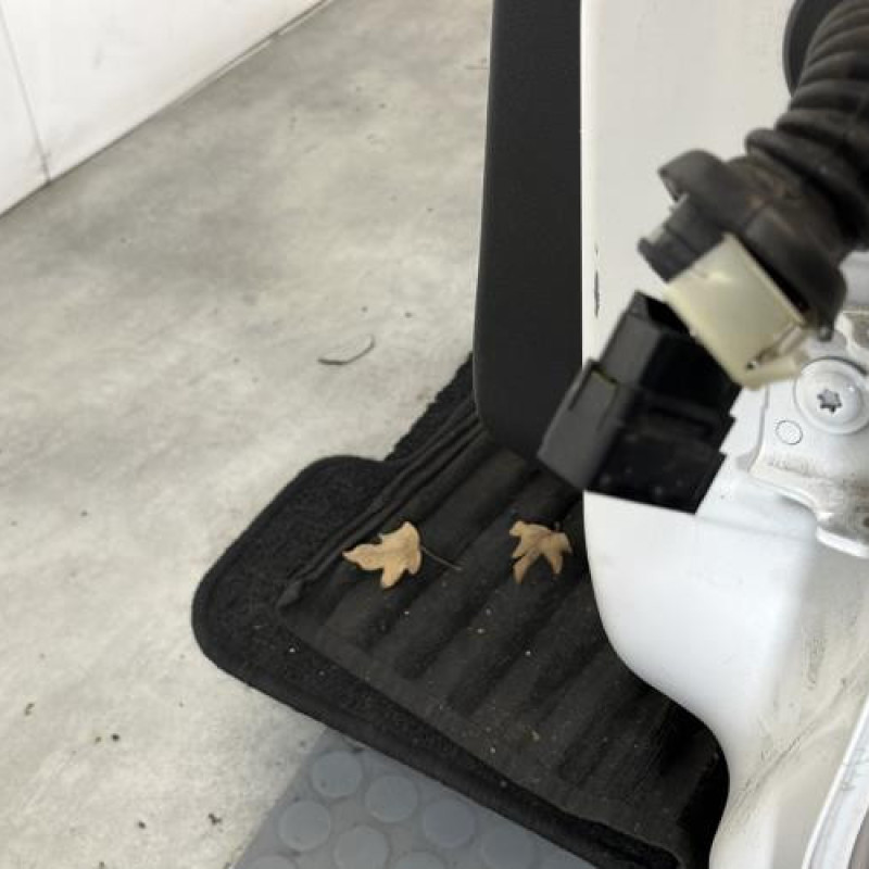 Porte arriere gauche PEUGEOT 208 1 Photo n°5