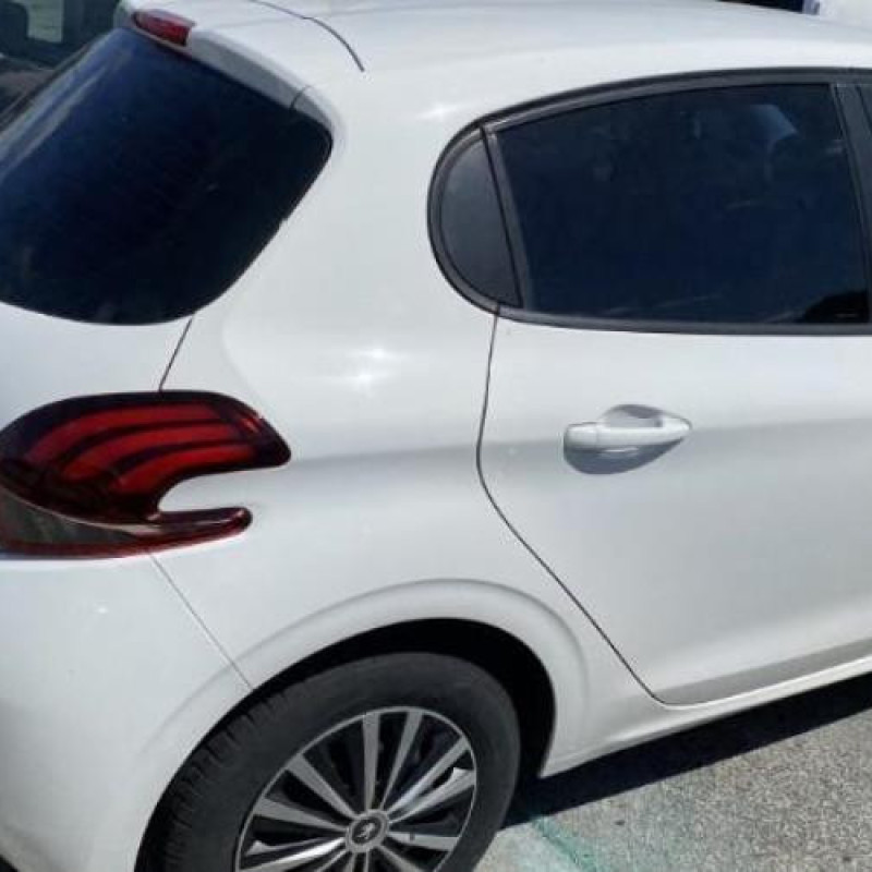 Porte arriere gauche PEUGEOT 208 1 Photo n°16