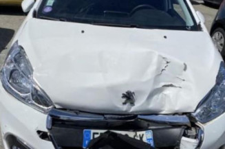 Porte avant gauche PEUGEOT 208 1