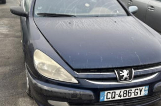 Custode arriere droit (porte) PEUGEOT 607