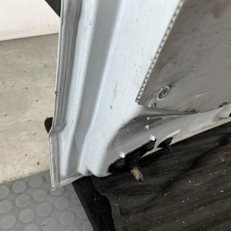 Porte de coffre gauche DACIA DOKKER Photo n°5