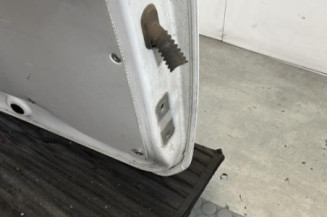 Porte de coffre gauche DACIA DOKKER