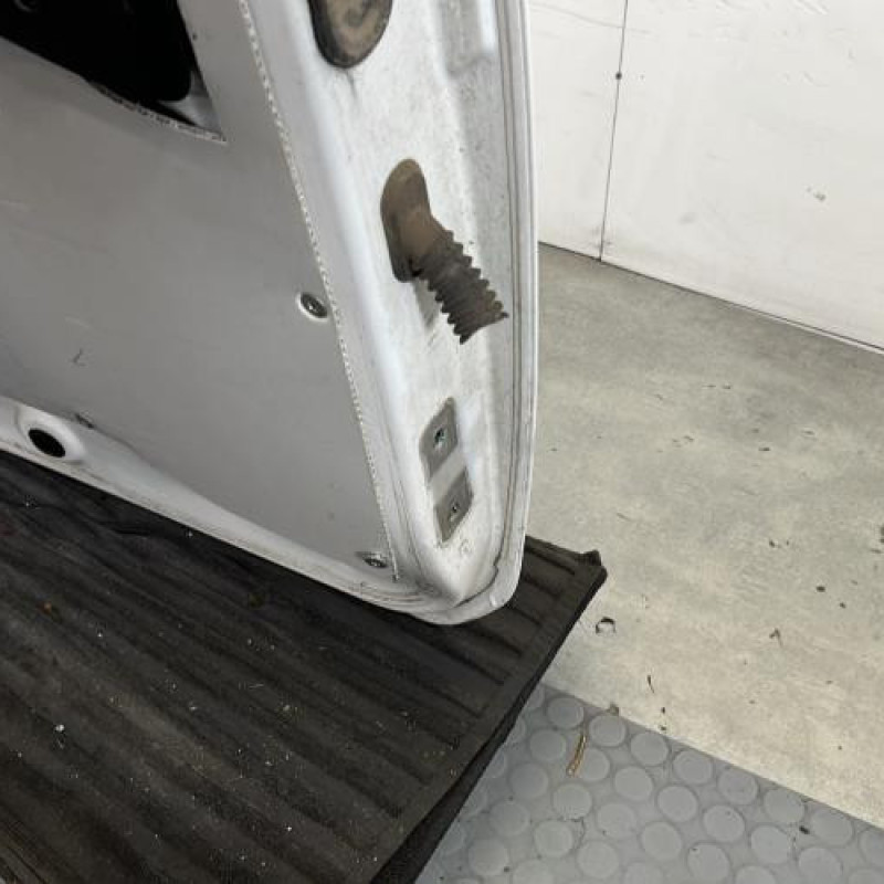 Porte de coffre gauche DACIA DOKKER Photo n°8