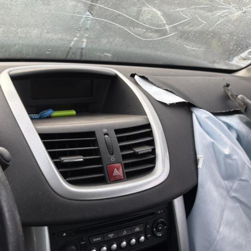 Attache ceinture arriere gauche PEUGEOT 207 Photo n°20