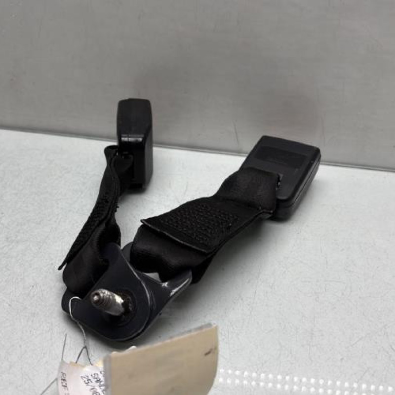 Attache ceinture arriere gauche DACIA SANDERO 1 Photo n°3