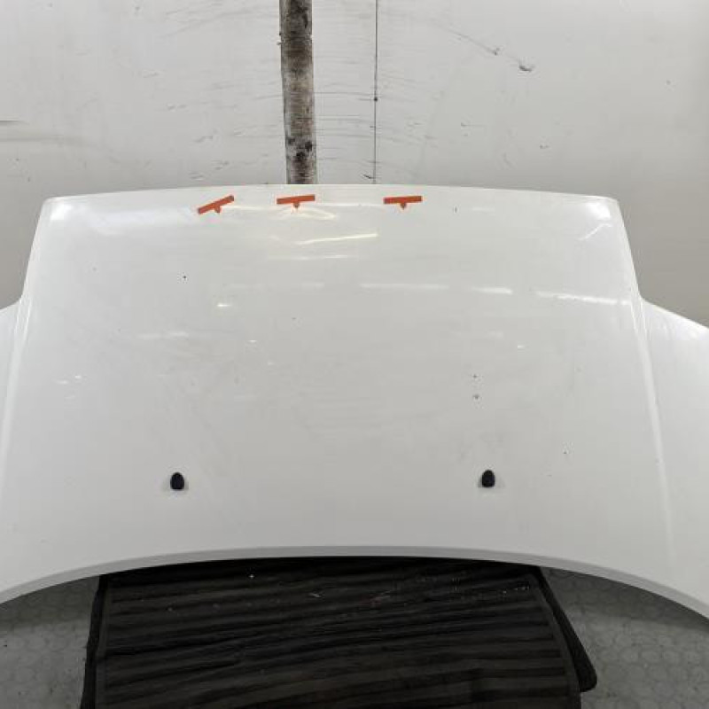 Capot CITROEN C2 Photo n°1