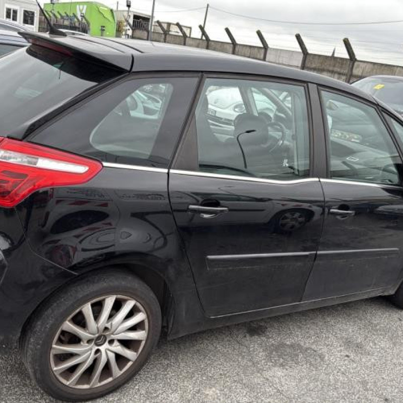 Custode arriere gauche CITROEN C4 PICASSO 1 Photo n°10
