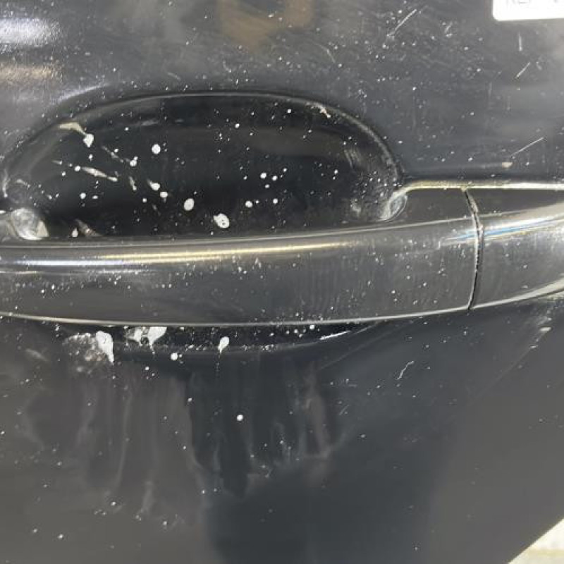 Porte arriere gauche CITROEN C4 PICASSO 1 Photo n°2