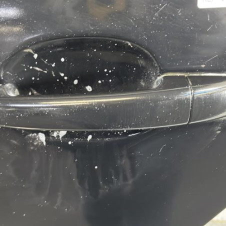 Porte arriere gauche CITROEN C4 PICASSO 1