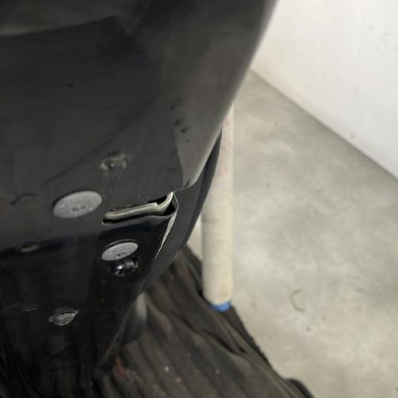 Porte arriere gauche CITROEN C4 PICASSO 1 Photo n°3