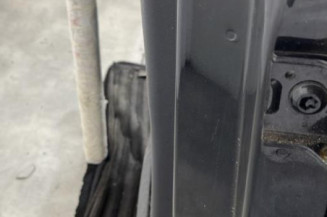Porte arriere gauche CITROEN C4 PICASSO 1
