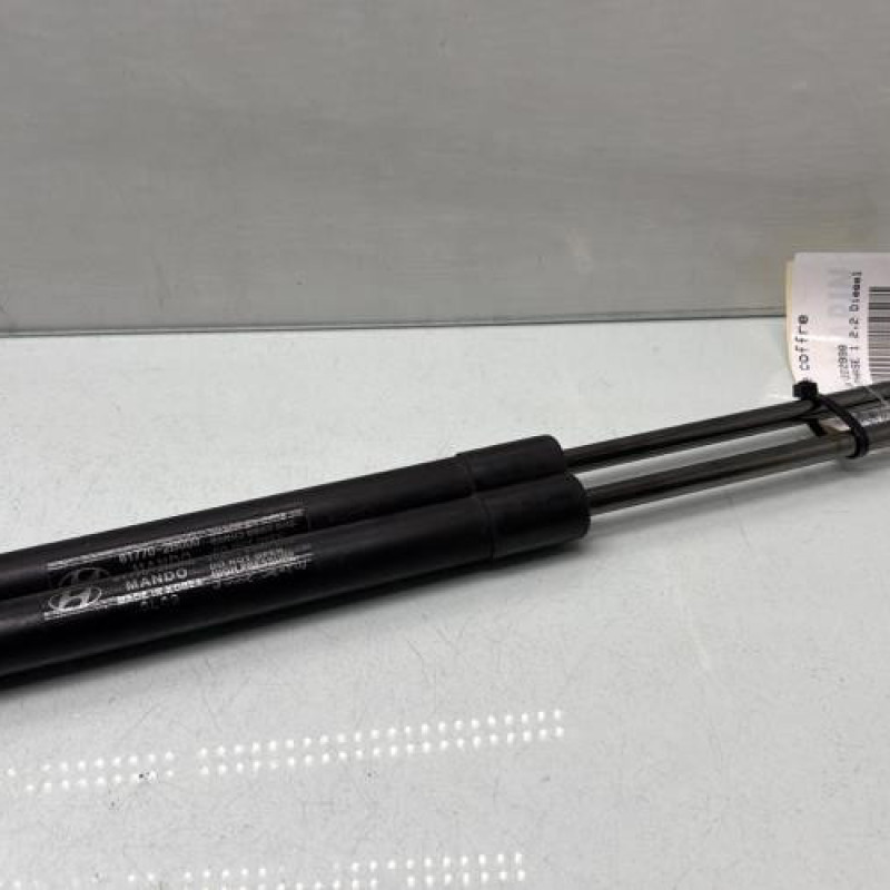 Verin de coffre HYUNDAI SANTA FE 2 Photo n°3