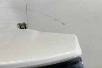 Malle/Hayon arriere CITROEN C3 2