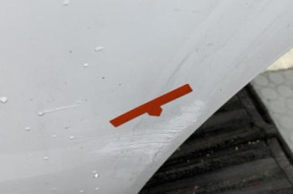 Porte arriere gauche CITROEN C3 2